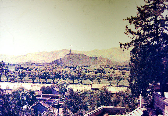 ������԰��