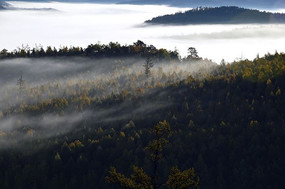 ��ɽ����