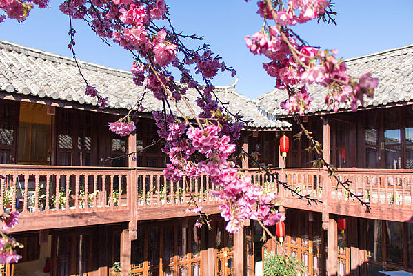 �ųǸ�¥��ӣ��