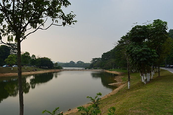 ������ɫ