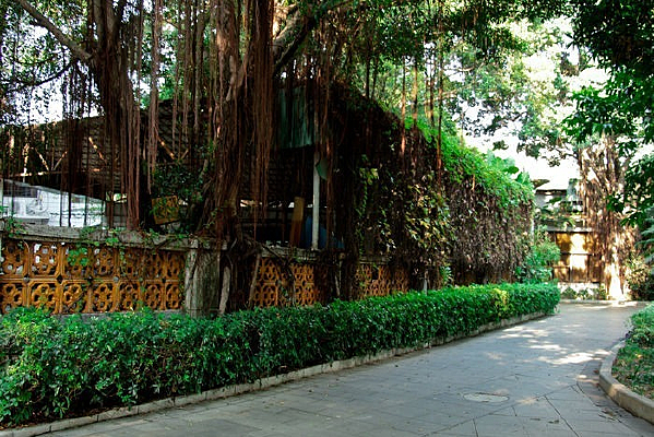 ��������С���������԰