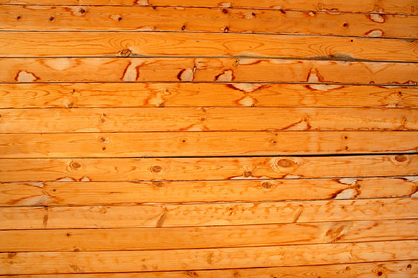 ľ���ʸб���