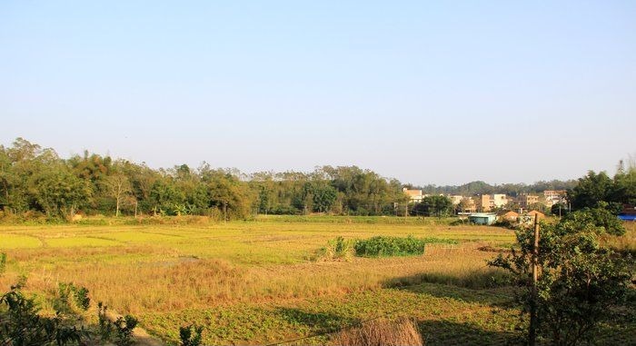 ��ɫ����԰