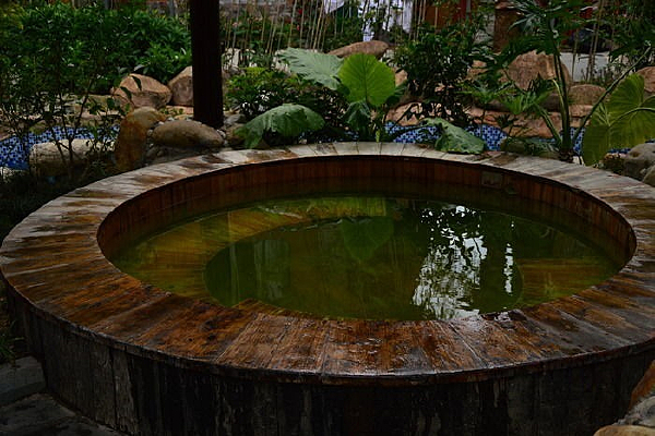 ������Ȫ