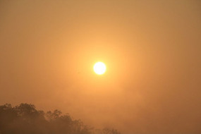 ɽ�����ն���