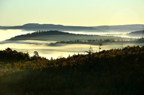 ɭ�ִ������峿