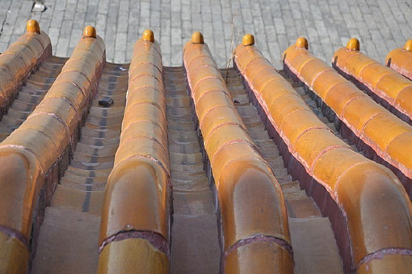 ������Ƭ