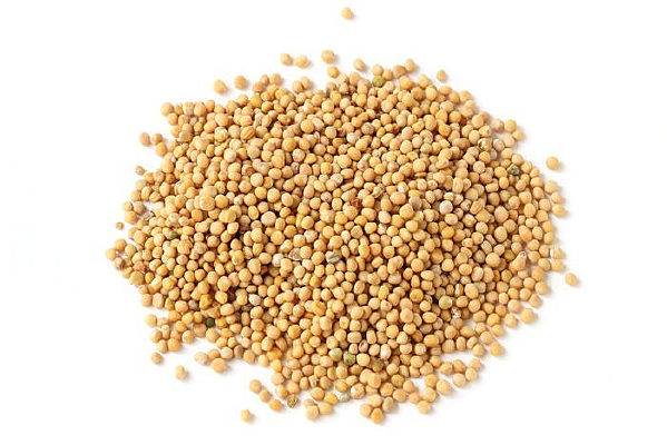 ��ҩ����