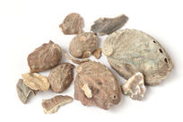 ��ҩ������