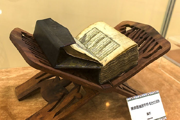 �ֳ�������