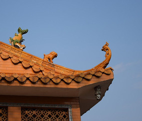 ���ܻ���