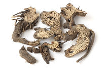 ��ҩ����