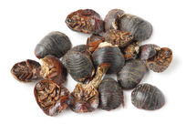 ��ҩ�����