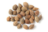 ��ҩ����