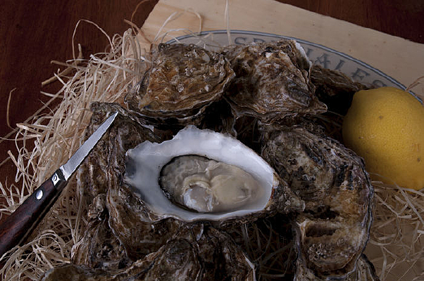 ���������л�����ز�ͼƬ