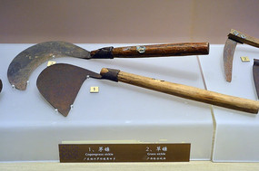 �����޳�