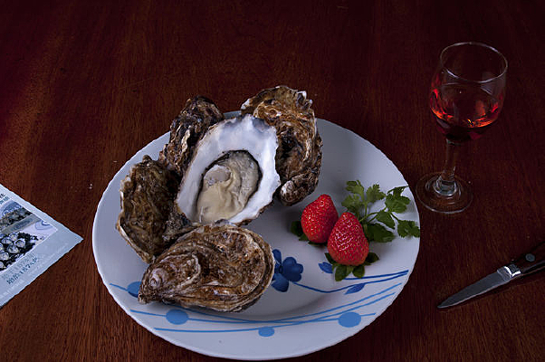 ������л��������ز�ͼƬ