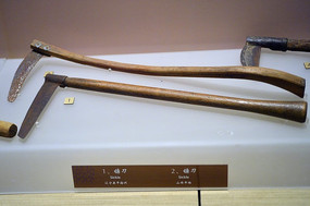镰刀
