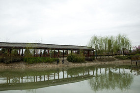 ���������Ӱ