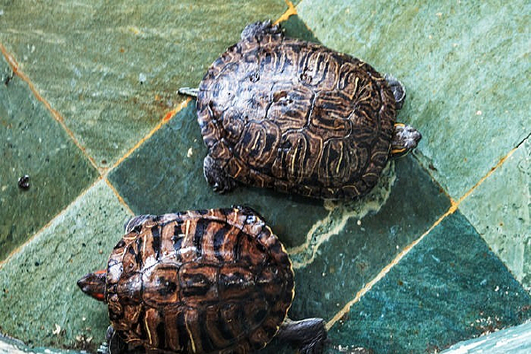 ���е��ڹ�