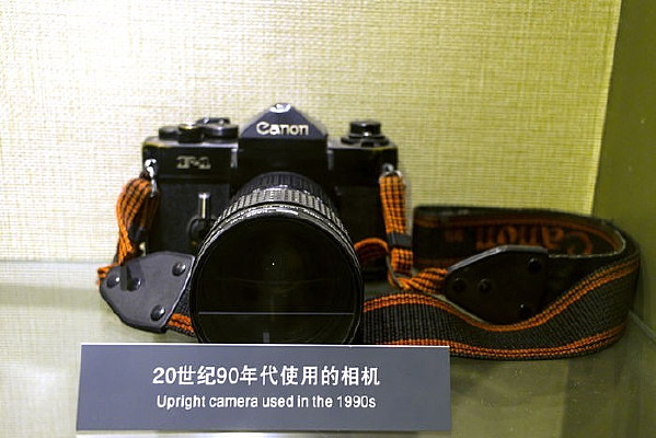 ��ʮ��������������