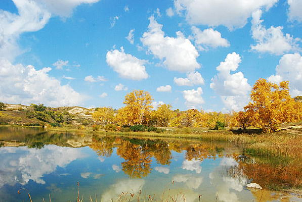 ������Ӱ��