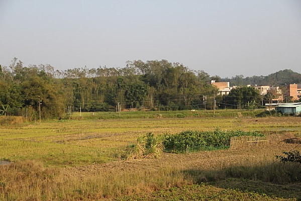 ��������徰ɫ