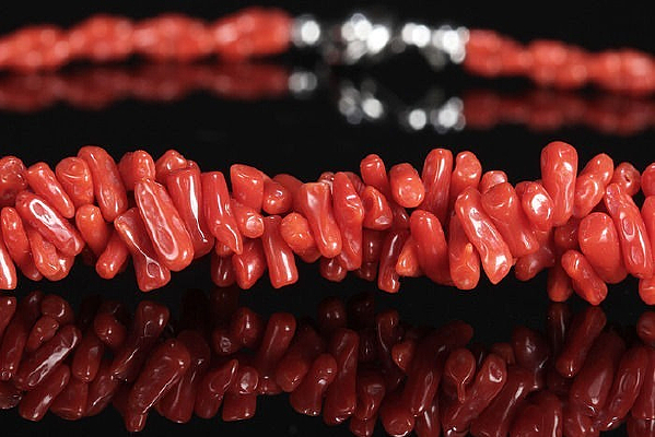 ��ɺ������