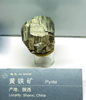 ����������걾