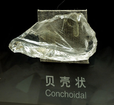 ����״��ʯ�걾