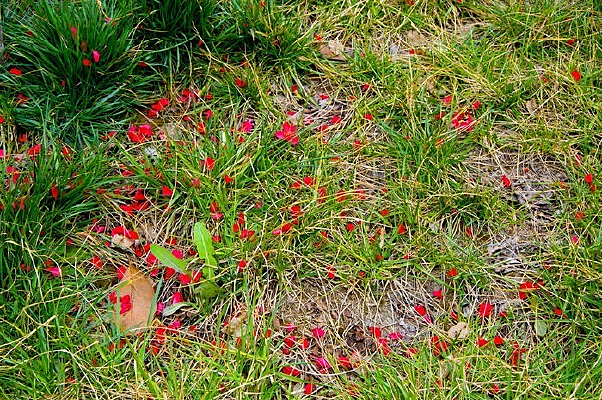 ������ݴ�