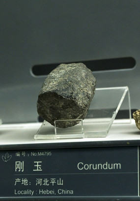 �ӱ�������ʯ�걾