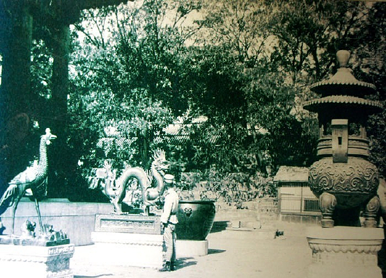 �ú�԰���ٵ�