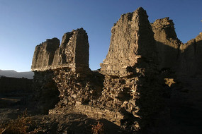 �������ż�