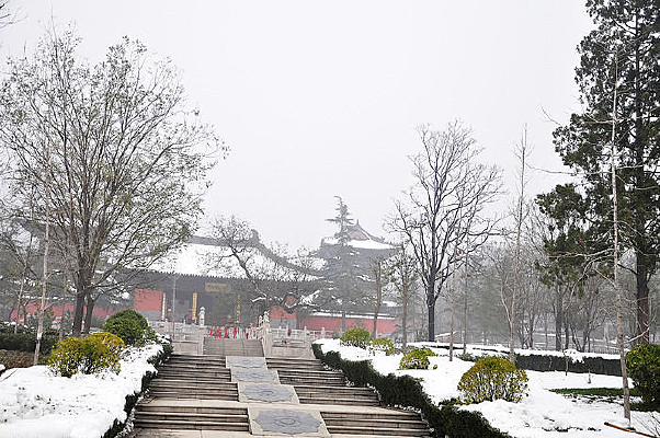 ѩɫ�е�Բͨ��