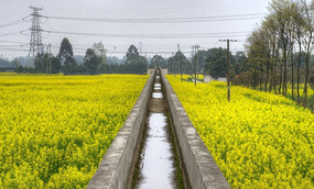 �Ͳ˻���Ұ�мܿյ�ˮ��