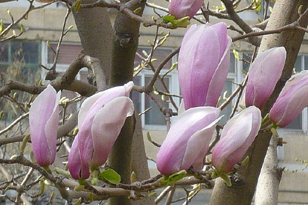 ���ŵ�����