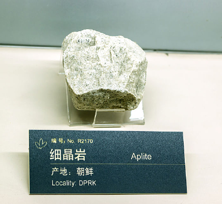 ����ϸ����