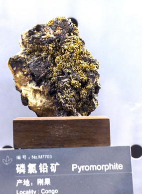 �չ�����Ǧ��