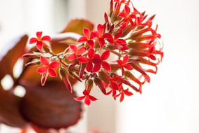 �컨���ٻ�