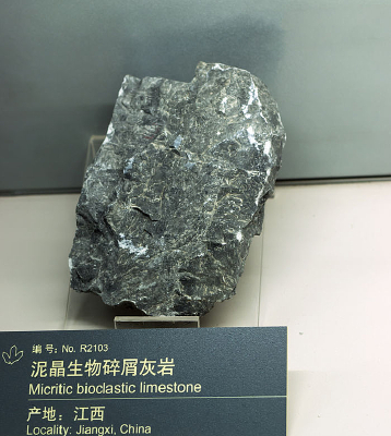 �����ྦྷ������м����