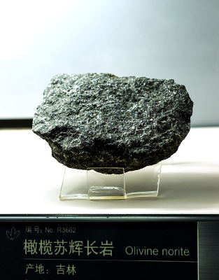 ��������ջԳ���������