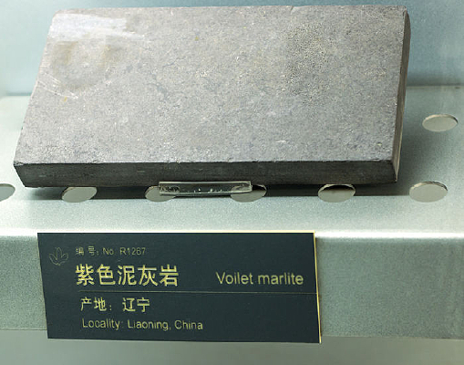 ������ɫ�����