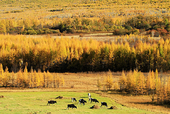 �ּ���������