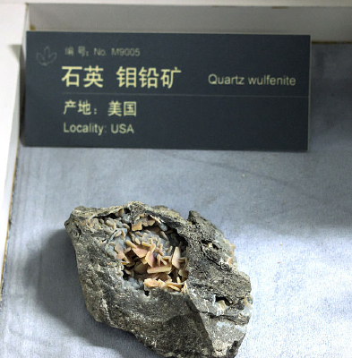 ����ʯӢ��Ǧ���ɫ