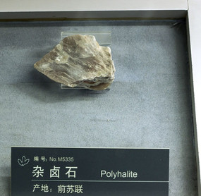 ǰ������±ʯ