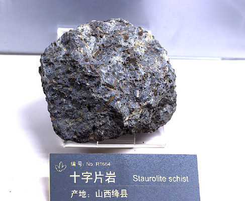 ɽ�����ʮ��Ƭ��