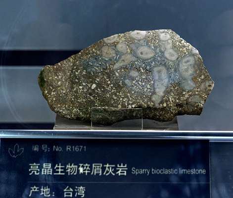 ̨������������м����