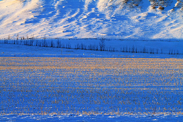 ѩԭũ��ѩ�����