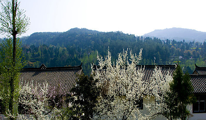 ����������ͼƬ